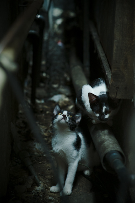 中场统治力全解析，卡塞米罗数据全面爆炸，引领比赛走向—聚焦安哥拉对阵勒沃库森一役