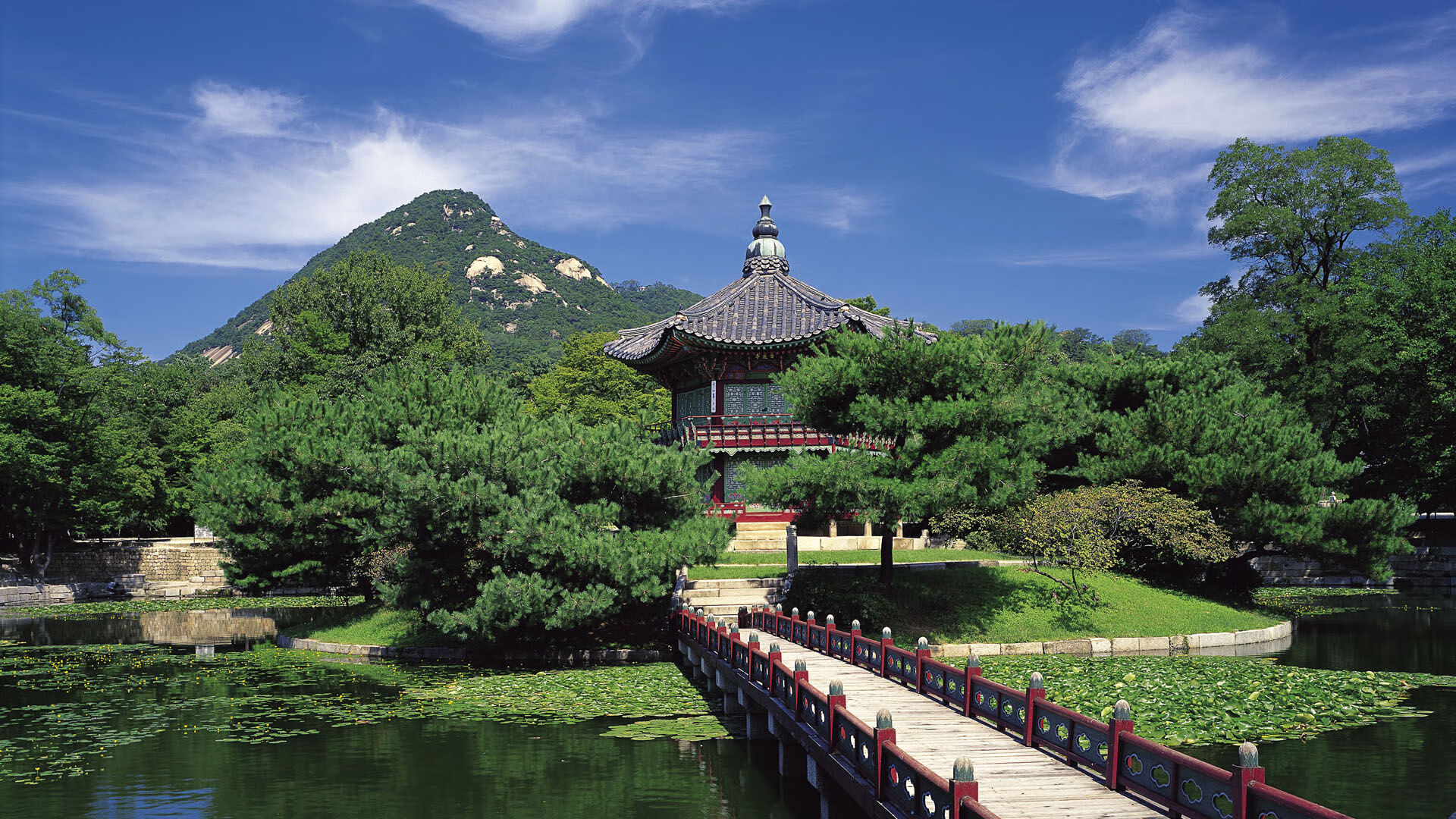 燃夜，范弗利特，伯纳乌的冷焰与淬火