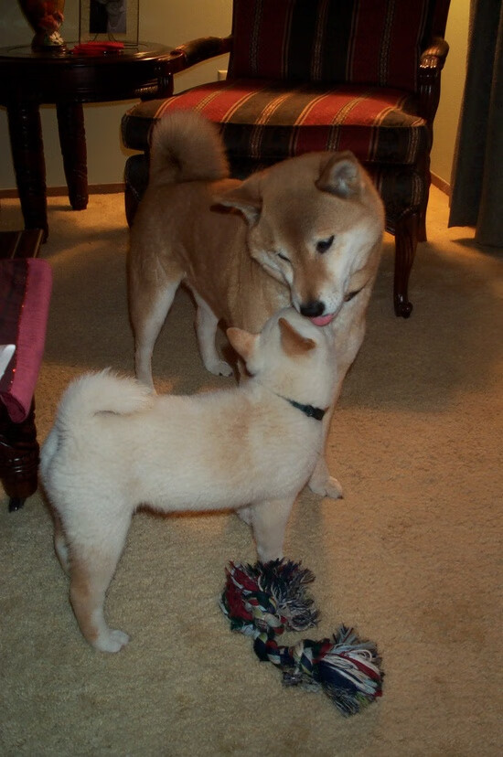 绝杀！公牛惊魂一秒钟逆转鹈鹕