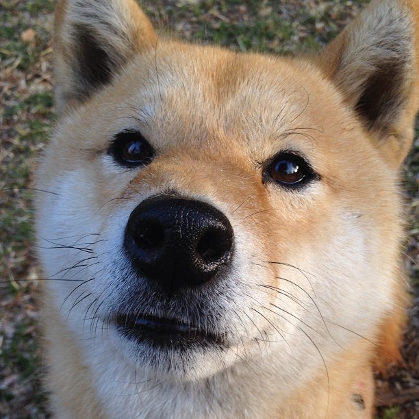 开云官网-西决生死战焦点战，热火爆冷步行者，晋级之路再添传奇