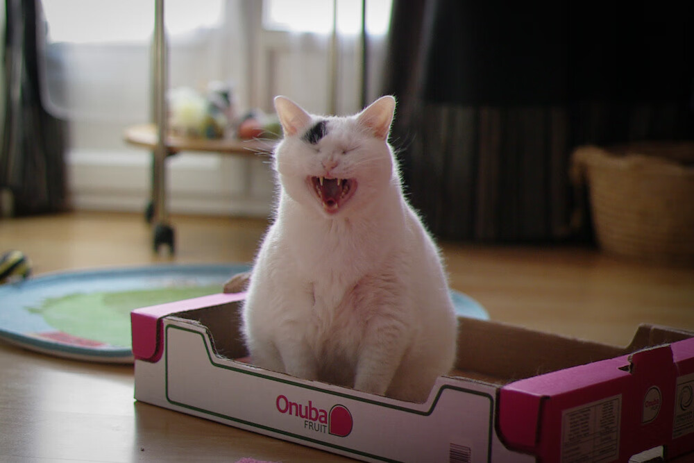 小贾伦一剑封喉!奇才奇兵天降碾碎太阳争冠梦