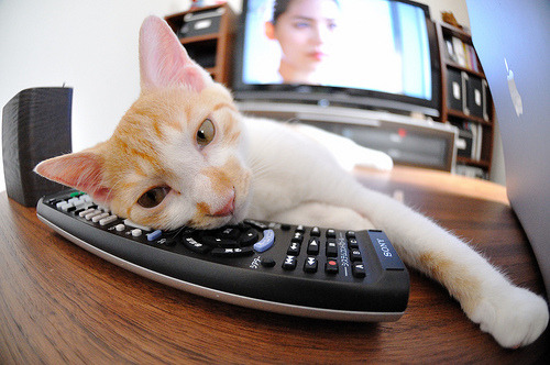 开云体育官方网站-跨越赛场的王者叙事，当库里与欧文共写胜利篇章