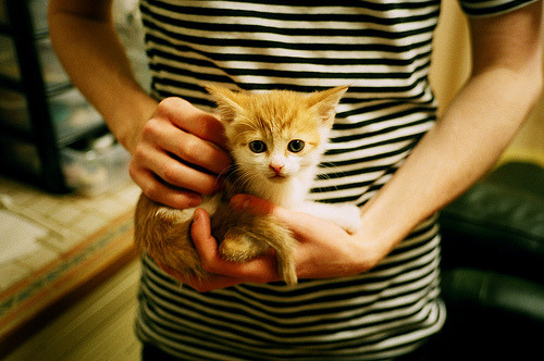 杜兰特完成自我救赎，火箭正面击溃辽宁队