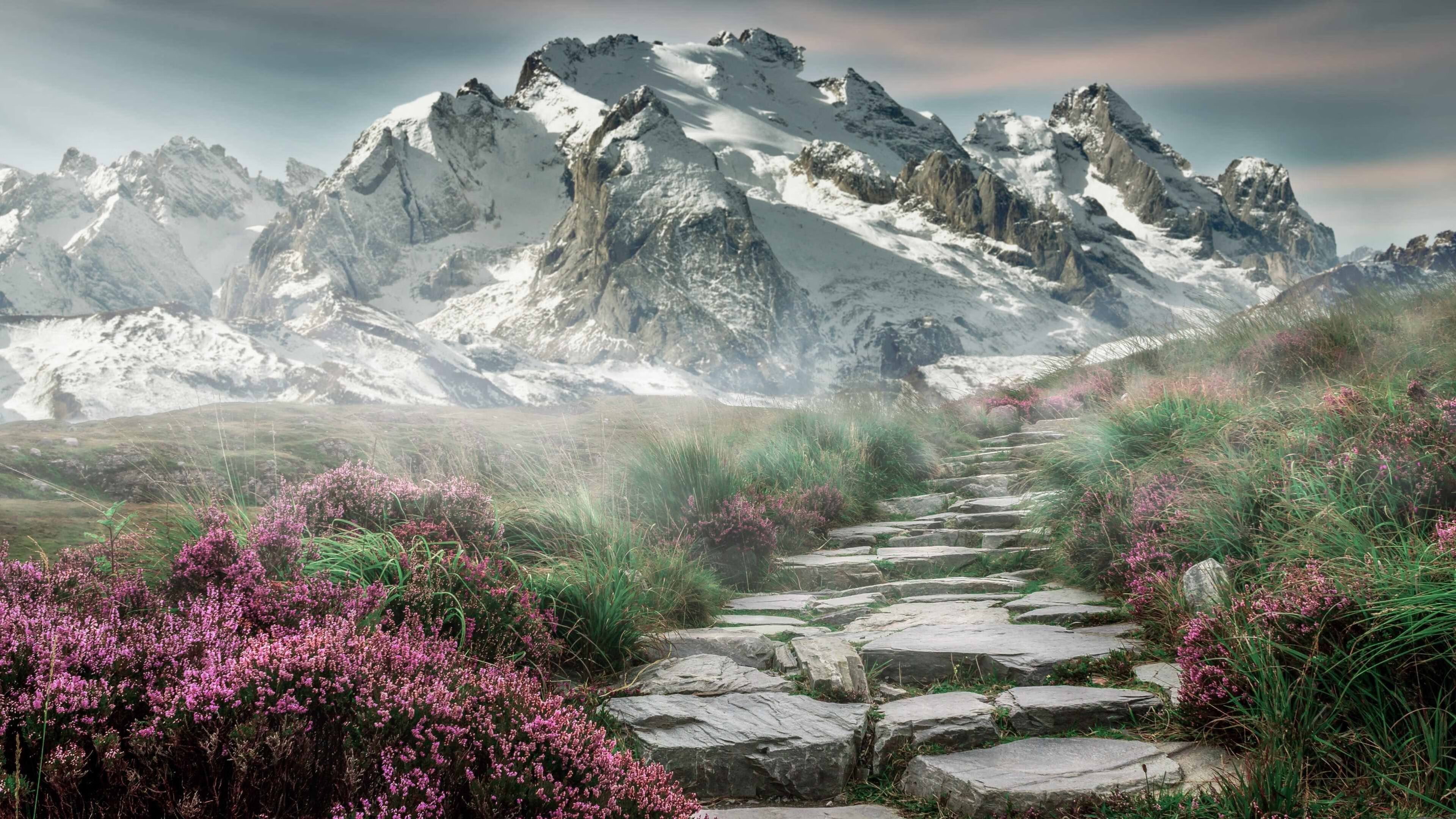 东方棋局与西方风暴,当吉林团队智慧遭遇文班亚马天赋洪流