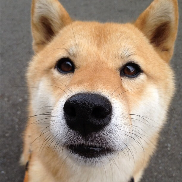 开云体育在线-奥纳纳梅开二度！巴拉圭3-0秘鲁提前一轮晋级，南美劲旅苏醒