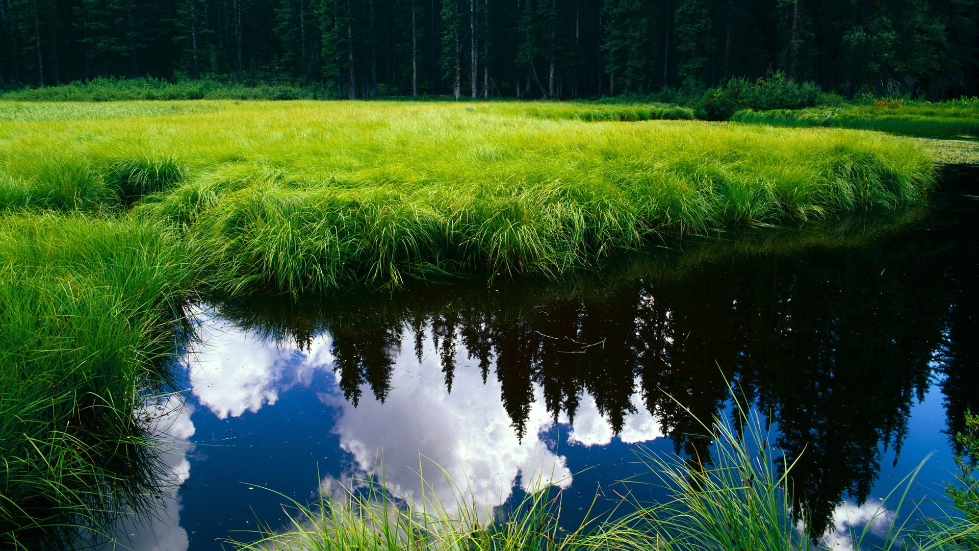 绿茵江湖,终结的艺术与持续的杀机—马竞的铁血与孙兴慜的锋芒