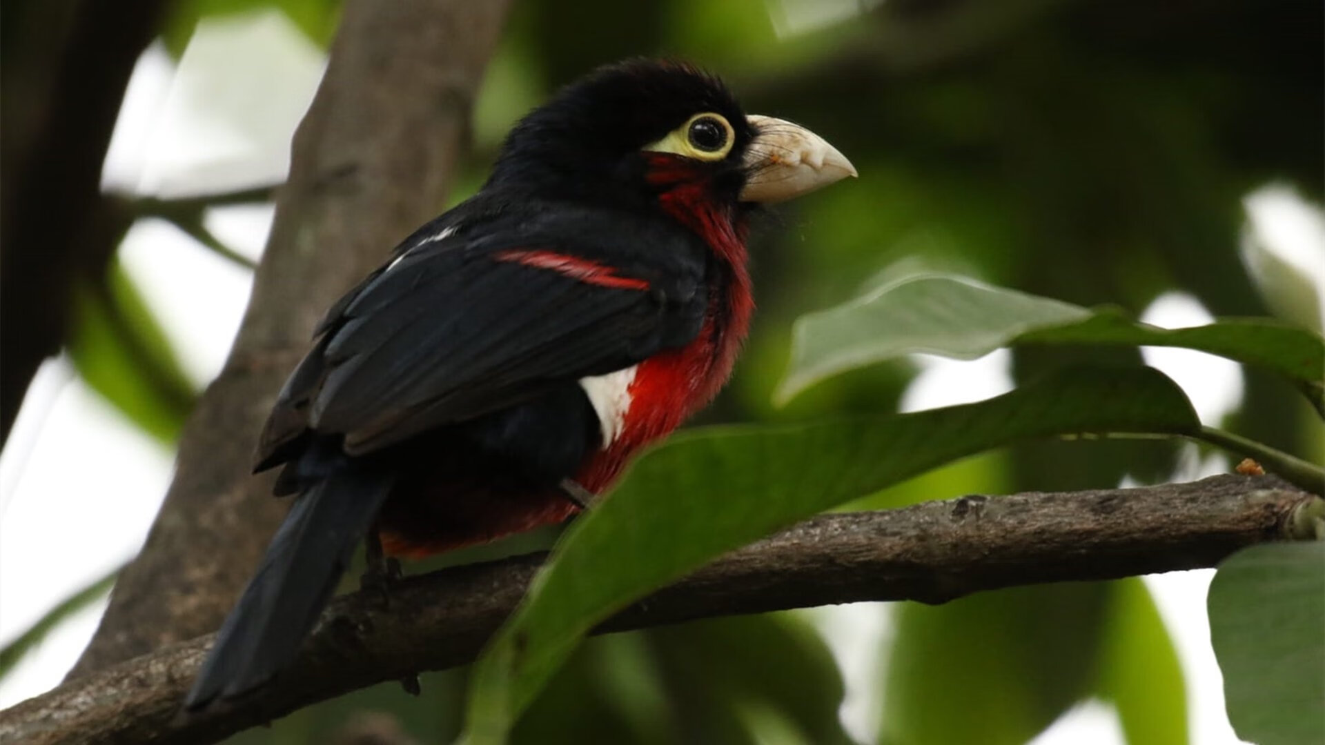 接管，孙兴慜的绿茵裁决与雷恩的丹麦棋局